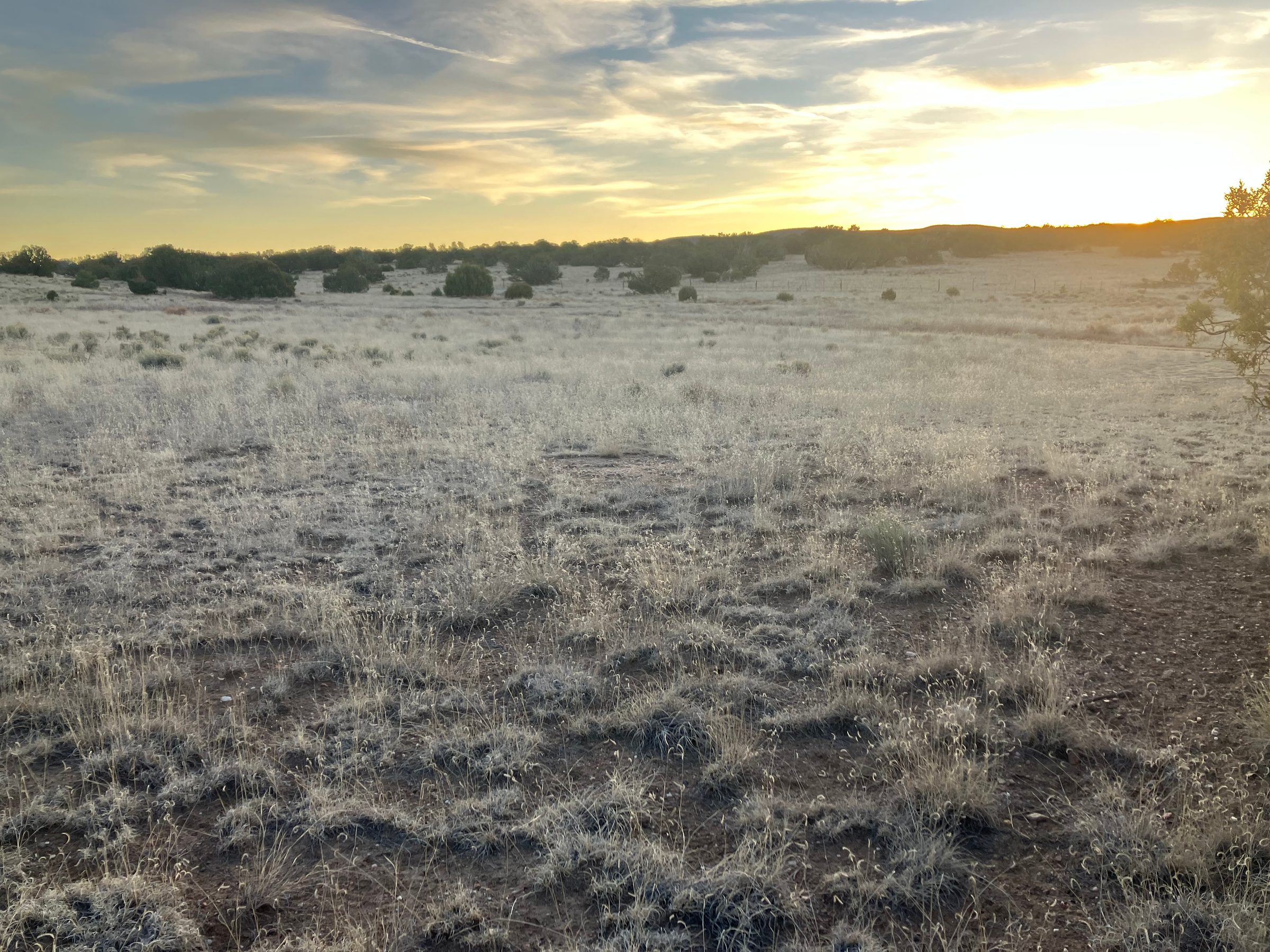 Sunset at the Lowland Camp